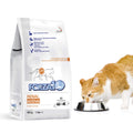 Forza10 Active Kidney Renal Diet Dry Cat Food for Adult Cats Kidney Care Cat Food for Heart and Kidney Problems Wild Caught Anchovy Flavor 1 Pound Bag