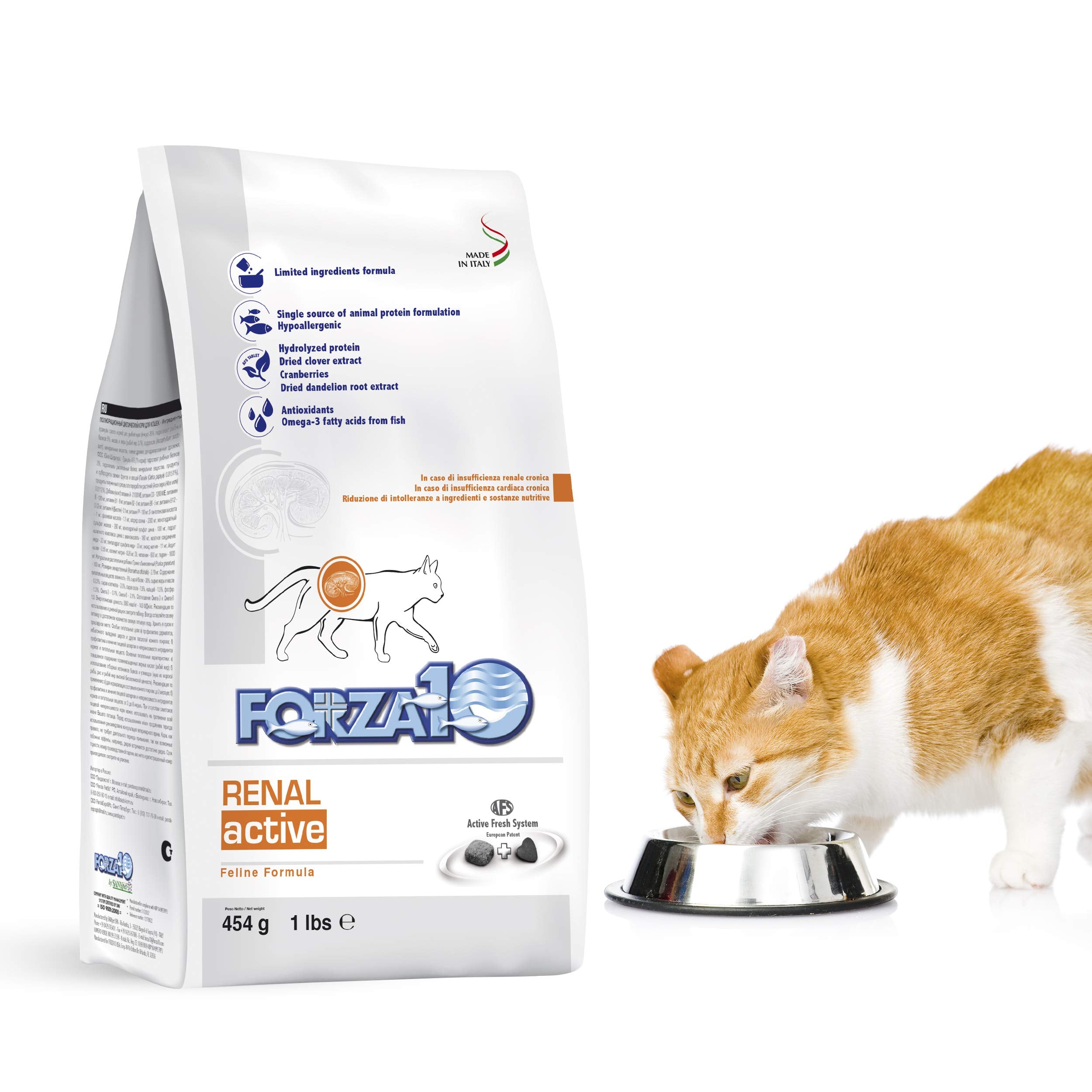 Forza10 Active Kidney Renal Diet Dry Cat Food for Adult Cats Kidney Care Cat Food for Heart and Kidney Problems Wild Caught Anchovy Flavor 1 Pound Bag