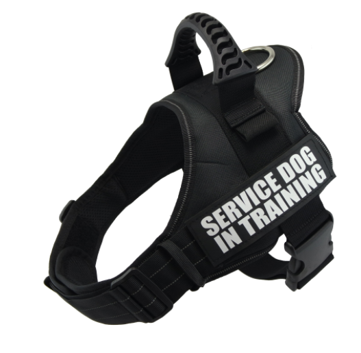 Reflective Pet Harness Leash Set